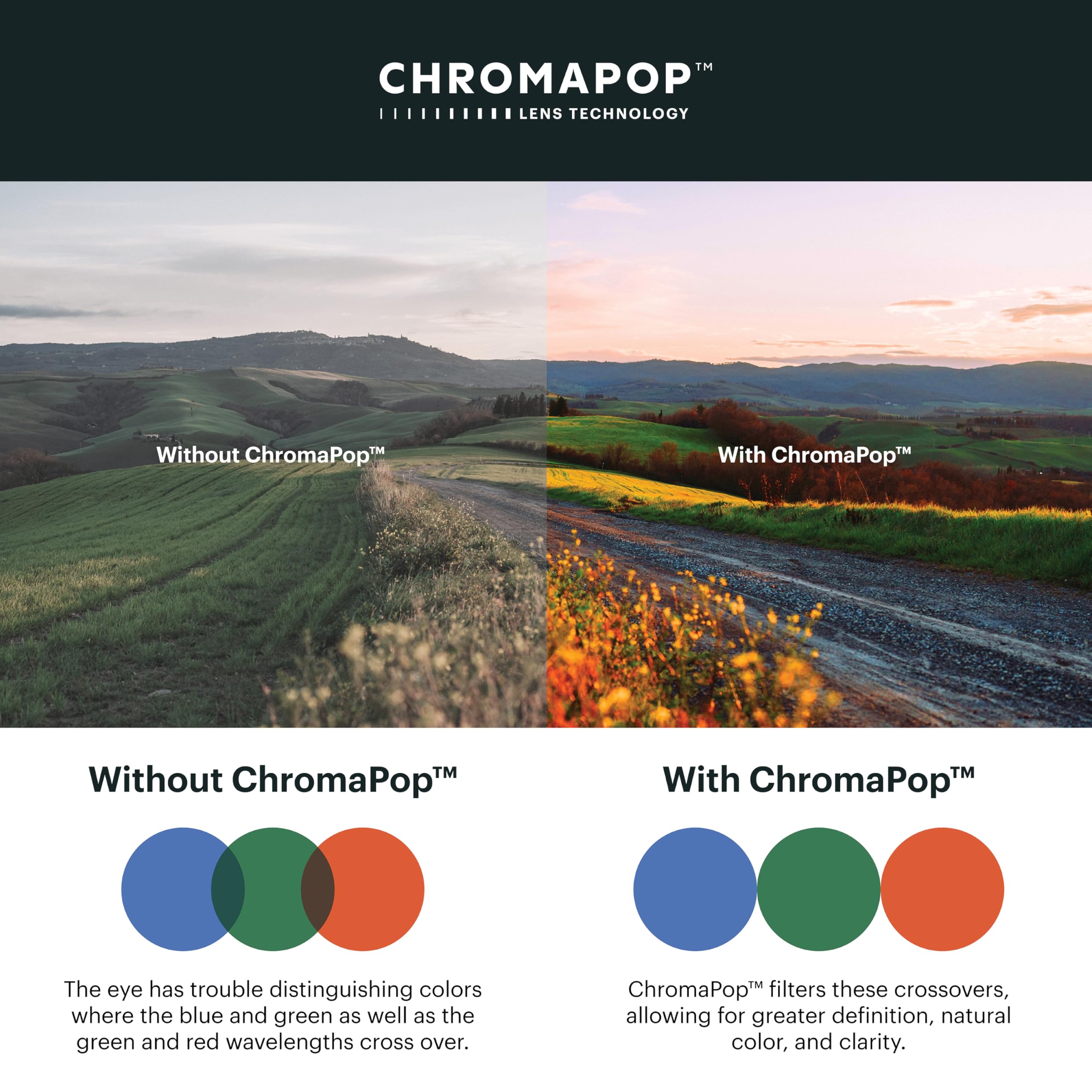 SMITH Guide's Choice XL Sunglasses with Chromapop Lenses - Polarized Sunglasses - for Men & Women - Image 5